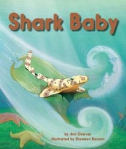 Shark Baby